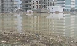 Long Beach bölgesi için endişelendiren fotoğraf