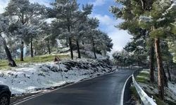 Trodos'a kar serpişti