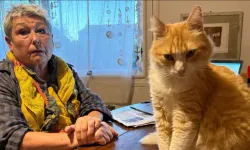 Dünyanın ilk ev hapsi alan kedisi