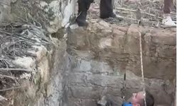 Kuyuya düşen kediyi itfaiye kurtardı