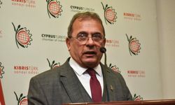 “Rumların hellimi tek yanlı tescil etmesini engelledik”