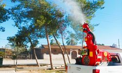 Mesarya Belediyesi çam kese böceğine karşı ilaçlama çalışmalarını tamamladı