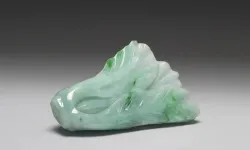 Bu lahanayı görmek için kuyruğa giriyorlar