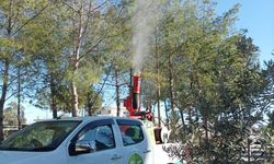 Mesarya Belediyesi Çam Kese Böceğine karşı mücadeleyi sürdürüyor