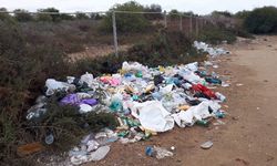 “Bu çöpler buraya nasıl geldi?”