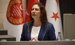 “Ekonomiyi her alanda daraltan bir bütçe”