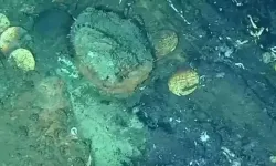 724 milyar TL'lik tarihi hazine ortaya çıktı