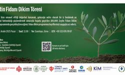 Kıbrıs Vakıflar İdaresi yarın Esentepe'de zeytin fidanı dikecek