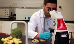 Haftalık gıda denetimleri