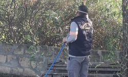 Mehmetçik Büyükkonuk Belediyesi: “Çam kese böceğine karşı mücadelemiz aralıksız sürüyor”