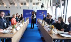 AB’den Rumlara övgüler