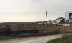 Doğayı mahvetmeye son sürat devam