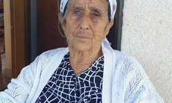 Alaniçi, bir çınarını daha kaybetti