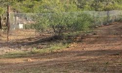 Esentepe Avcılık ve Atıcılık Birliği’nden örnek çalışma