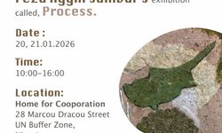 Feza Aygın Sanıvar’ın sergisi 20 Ocak’ta ara bölgede açılacak