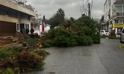 Aşırı yağışlar Girne’de hayatı olumsuz etkiledi