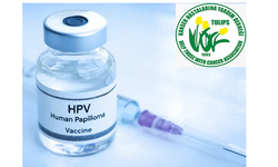 HPV aşısı ulusal programa alındı