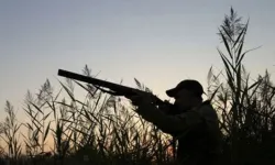 Bazı sivil toplum örgütleri, 1. İnce Av süresinin uzatılmasına ilişkin önergeyi eleştirdi