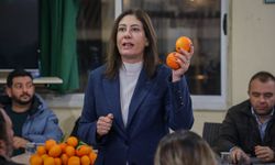 İncirli “Narenciye ve patates hak ettiği değeri alarak ihraç edilmeli”