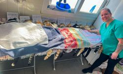 Gazimağusa Belediyesi’nden sokak hayvanları için kısırlaştırma kampanyası