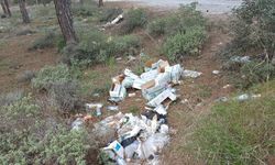 Doğayı kirletmek bu kadar kolay olmamalı