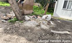 Devlet dairesi bahçesine yakışmayan görüntü