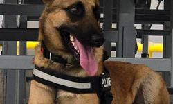 Lokum ve Pamir’den geçit yok