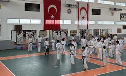 Taekwondo 2026’da da hız kesmeyecek