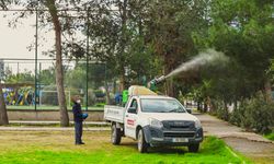 LTB: "Çam kese böceğiyle mücadele başarılı sonuçlar verdi"