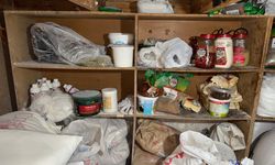 Fırında mide bulandıran görüntüler