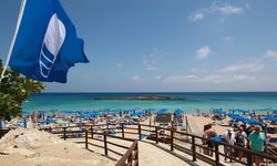 Sahiller yok olma tehlikesinde