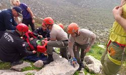 Dağda düşen kişiyi Sivil Savunma kurtardı