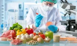 Haftalık gıda denetimleri