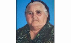 Mehmetçik bir çınarını daha kaybetti