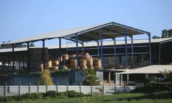 Güney Kıbrıs’ta şap hastalığı nedeniyle tüm çiftlikler karantinaya alındı