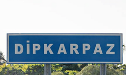 Karpaz Koruma Derneği'nden doktorların çalışma saatleriyle ilgili düzenlemeye destek