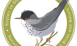 KUŞKOR'dan İnce Av'ın mart ortasına uzatılmasının yaban hayata zarar vereceği uyarısı