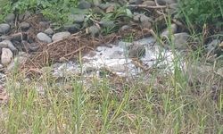 Lefke halkı çevre felaketi içinde