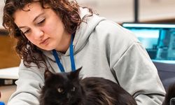 ODTÜ “Game Jam 2026” başladı