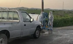 Güney’de 11 çiftlikte şap hastalığı