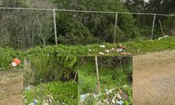 “Bu anlayış, Salamis’e değil, insanlığa zarar veriyor”