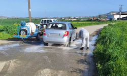 Güney'de şap alarmı: Üç çiftlikte karantina