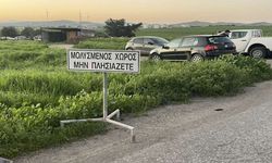 Güney Kıbrıs’ta şap hastalığı için olağanüstü toplantı