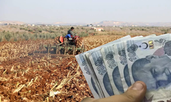 2025-2026 üretim yılı tazminat ödemeleri ve Doğrudan Gelir Desteği için son başvuru tarihi 27 Şubat