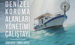 "Denizel Koruma Alanları Yönetimi Çalıştayı" perşembe günü Lefkoşa’da yapılacak