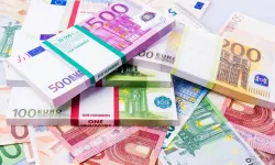 “Dövize erişimde sıkıntı yok”