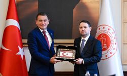 Bilgisizlik mi, öngörü mü?