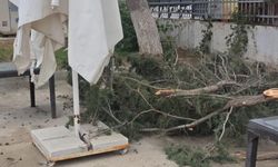 Yağmur ve fırtına hasara yol açtı