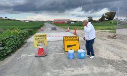 Güney'de şap hastalığında vakalar giderek çoğalıyor