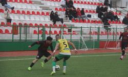 Binatlı hayata, Hamitköy komaya